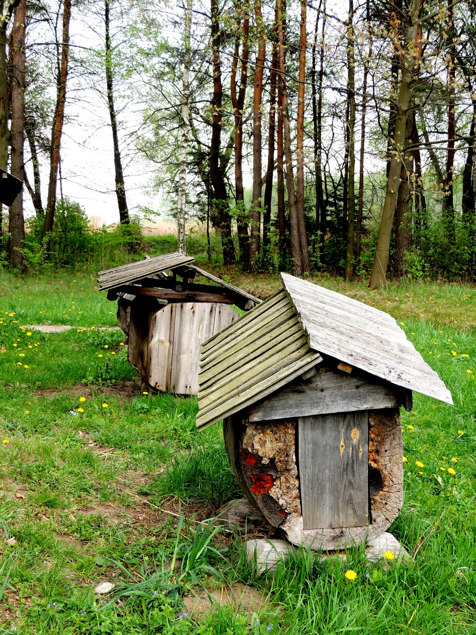 Kleine Bienenhäuser aus Holz am Waldrand